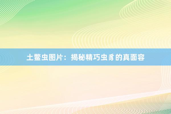 土鳖虫图片：揭秘精巧虫豸的真面容